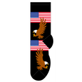 American Flag & Eagle