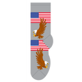 American Flag & Eagle