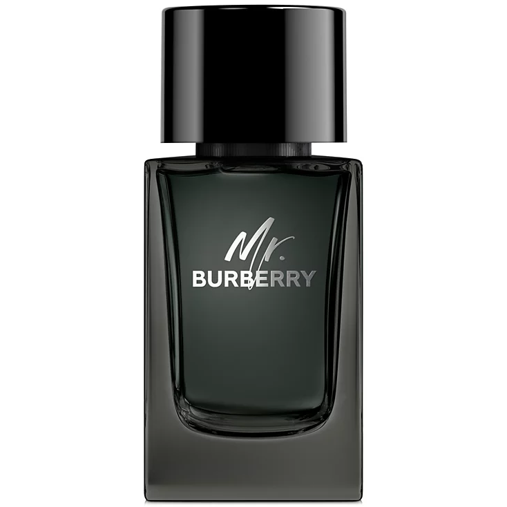 BURBERRY - Mr. Burberry Eau de Parfum, 3.3 oz