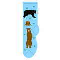 Black Bear