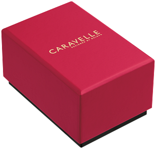 Caravelle - Sea Hunter