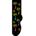 Coconuts & Palm Trees