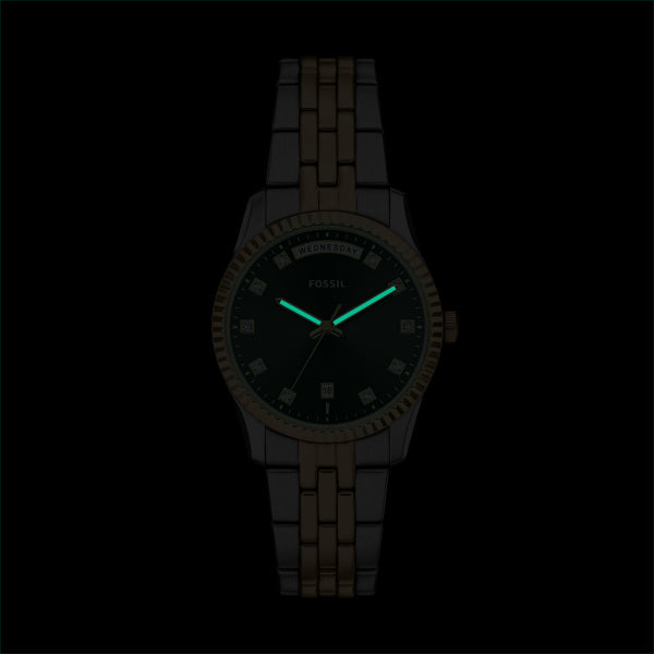 Fossil - Scarlette