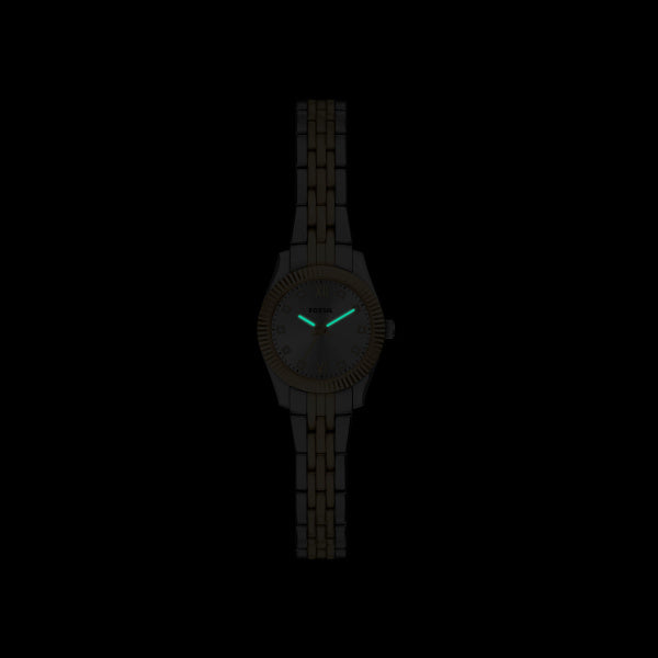 Fossil - Scarlette