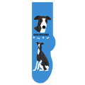 Greyhound