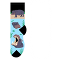 Hippos