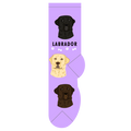 Labrador