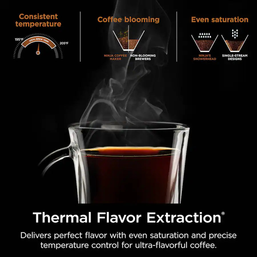 Ninja Hot & Iced XL Coffee Maker, Black