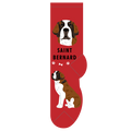 Saint Bernard