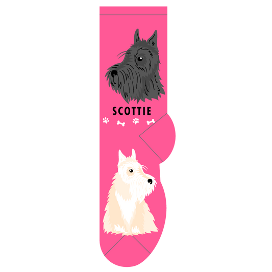 Scottie