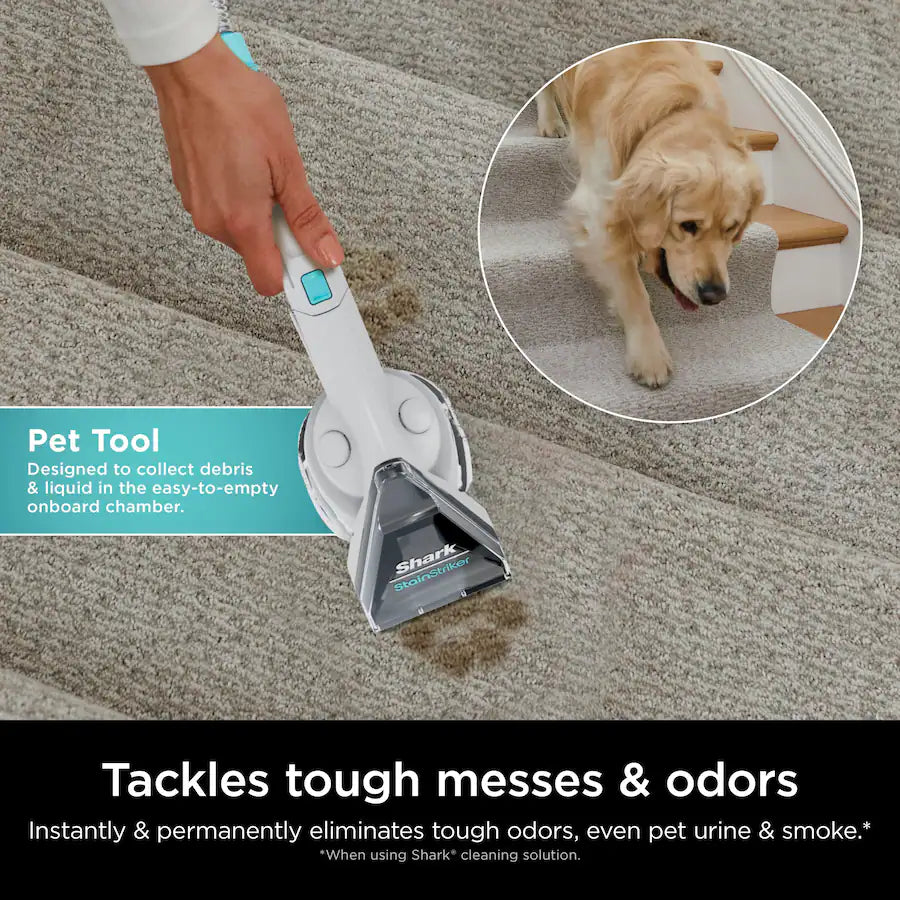 Shark CarpetXpert with Stainstriker Deep Cleaning 2-in-1 Vacuum, White