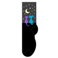 Star Gazing Cat & Dog