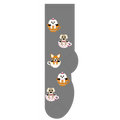 Tea Cup Dogs