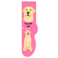 Yellow Lab